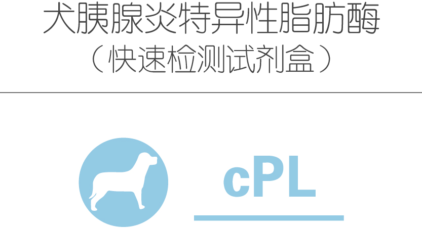 犬胰腺炎