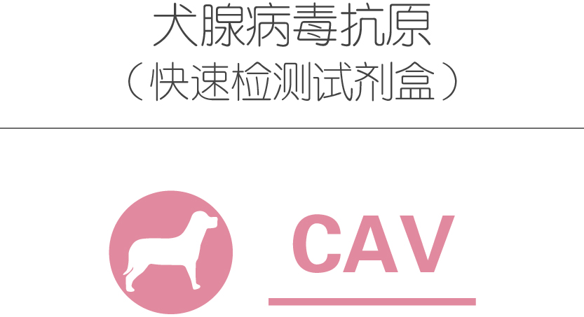 犬腺病毒抗原