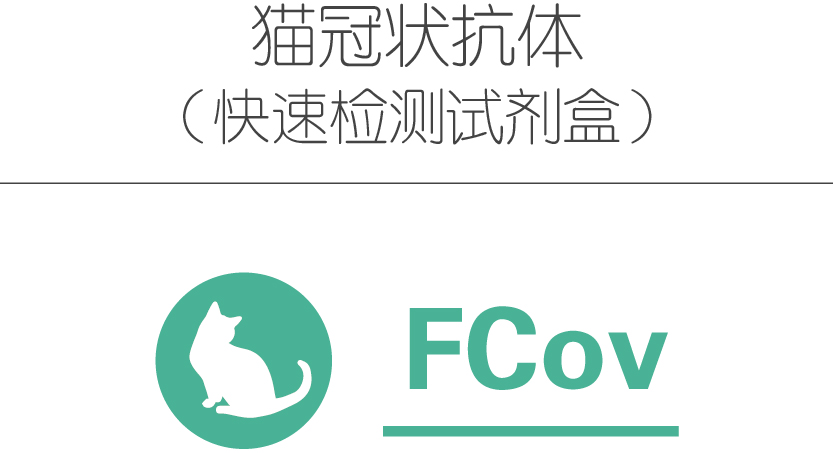 猫冠状抗体