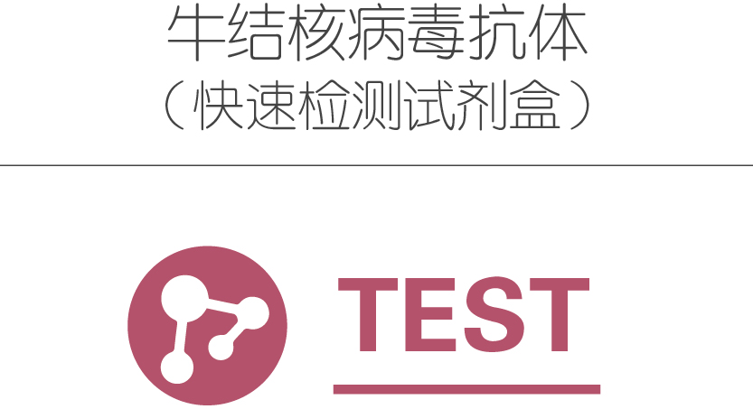 牛结核病毒抗体