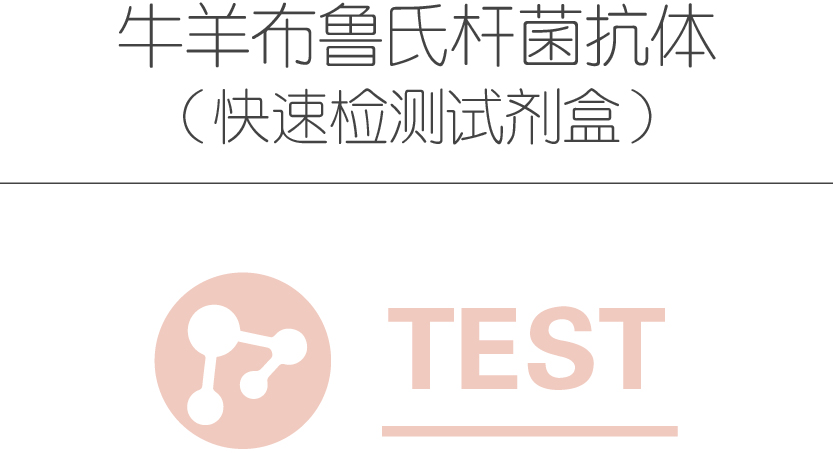 牛羊布鲁氏杆菌抗体