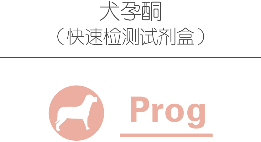 犬孕酮