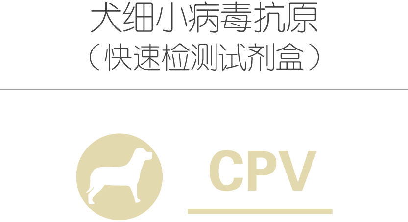 犬细小病毒抗原