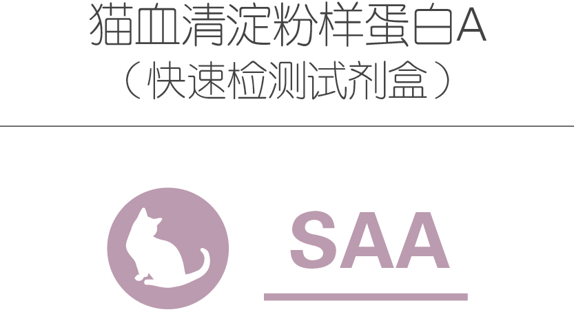 猫血清淀粉样蛋白A