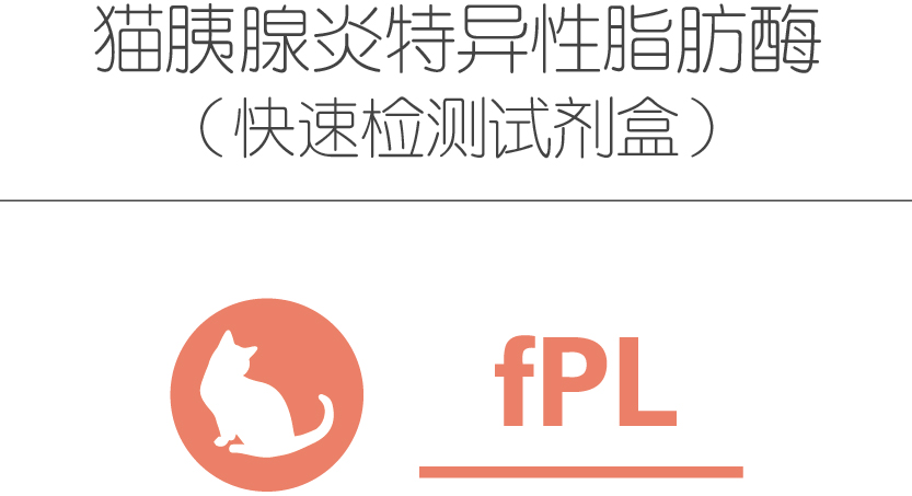 猫胰腺炎