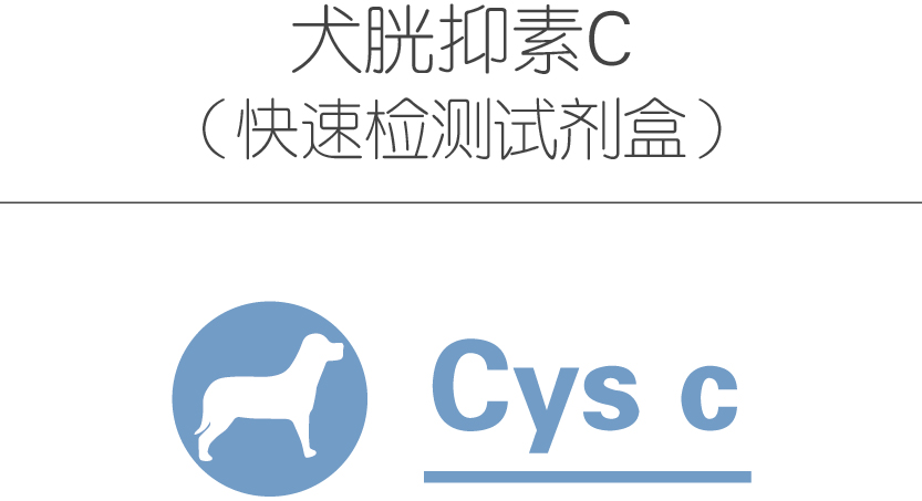 犬胱抑素C