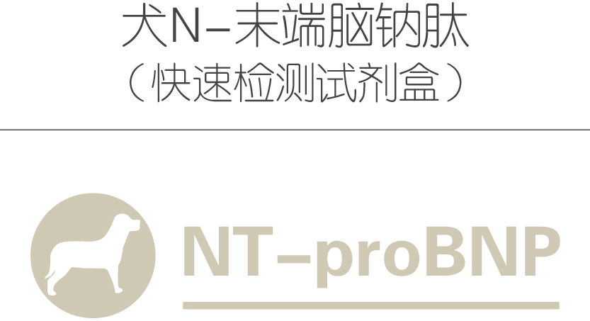 犬N-末端脑钠肽