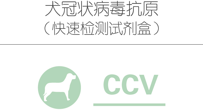 犬冠状病毒抗原