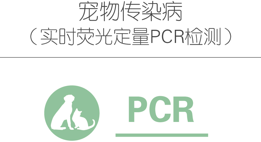 宠物传染病
